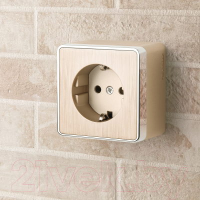 Розетка Werkel Gallant W5071010 / a051038