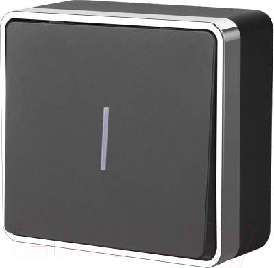 Выключатель Werkel Gallant W5010135 / a050979 - фото