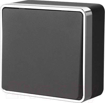 Выключатель Werkel Gallant W5010035 / a050968 - фото