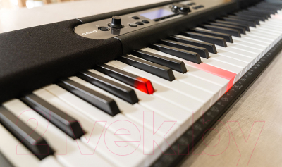Синтезатор Casio LK-S450