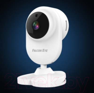IP-камера Falcon Eye Spaik 1