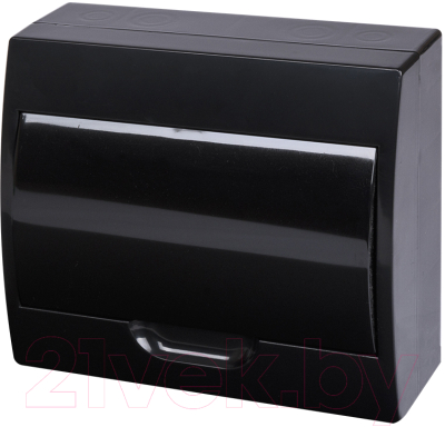 Бокс пластиковый TDM SQ0901-0904 - фото