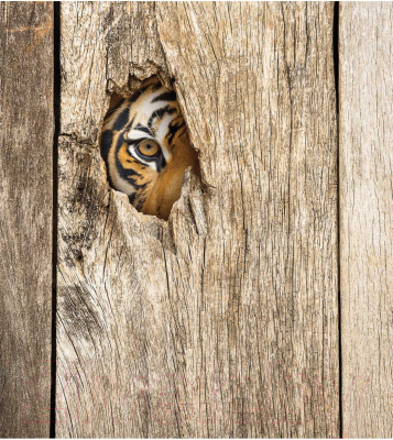 Шторка-занавеска для ванны JoyArty Подглядывающая опасность / sc_12725 - фото