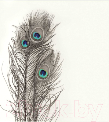 Шторка-занавеска для ванны JoyArty Три пера павлина / sc_3785 - фото