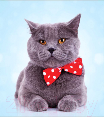 Шторка-занавеска для ванны JoyArty Серый Тема Шотландская Вислоухая / sc_2735 - фото