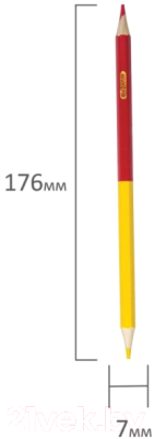 Набор цветных карандашей Пифагор 180244