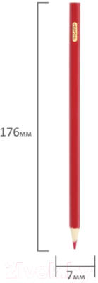 Набор цветных карандашей Пифагор Жираф / 181252