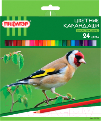 Набор цветных карандашей Пифагор Лесные жители / 181336 - фото