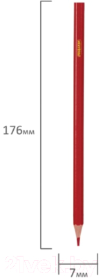 Набор цветных карандашей Пифагор Лесные жители / 181336