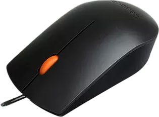Мышь Lenovo 300 / GX30M39704 - фото