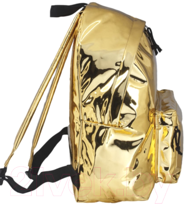 Рюкзак Brauberg Винтаж / 227094