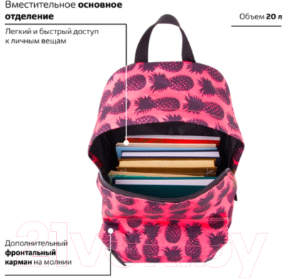 Рюкзак Brauberg Ананас / 228851