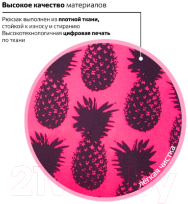 Рюкзак Brauberg Ананас / 228851