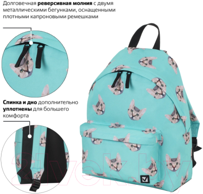 Рюкзак Brauberg Котики 229881