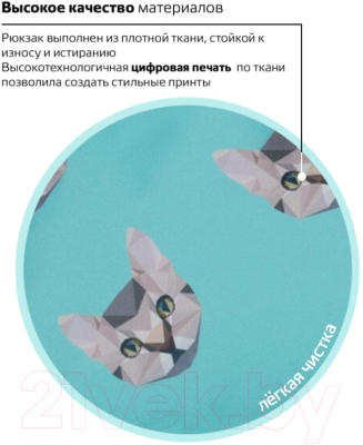 Рюкзак Brauberg Котики 229881