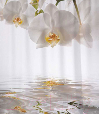 Шторка-занавеска для ванны JoyArty Орхидея ожидает / sc_2287 - фото