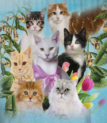 Шторка-занавеска для ванны JoyArty Смирные коты / sc_7603 - фото