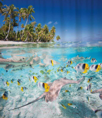 Шторка-занавеска для ванны JoyArty Рыбы под берегом / sc_2750 - фото