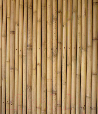 Шторка-занавеска для ванны JoyArty Прочный бамбук / sc_4731 - фото