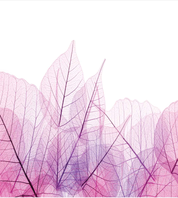 Шторка-занавеска для ванны JoyArty Лиственный узор / sc_13293 - фото