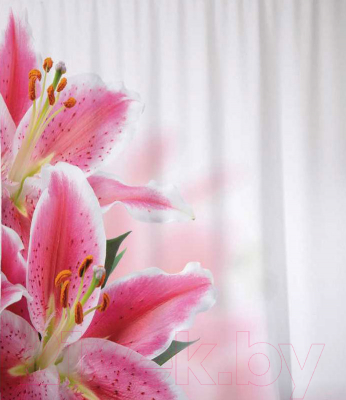 Шторка-занавеска для ванны JoyArty Нежность лилий / sc_55142 - фото