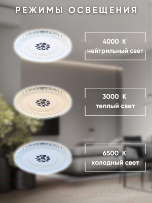 Потолочный светильник Aitin-Pro L8548