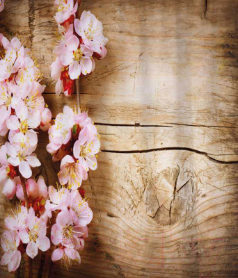 Шторка-занавеска для ванны JoyArty Ветка вишни на дереве / sc_27470 - фото