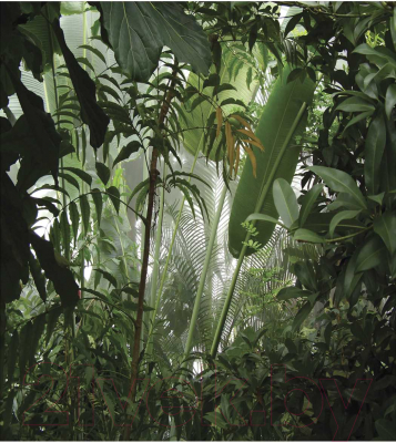 Шторка-занавеска для ванны JoyArty Заросли в джунглях / sc_11422 - фото