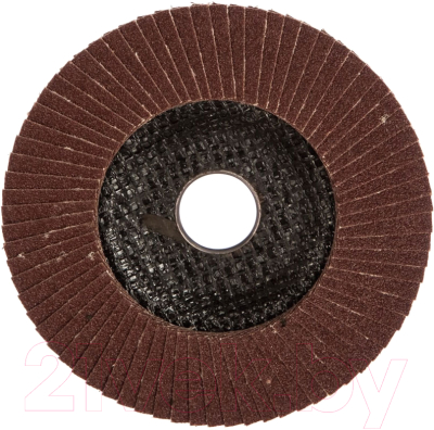 Шлифовальный круг Targ 125х22.2мм, зерно 100 / 663408