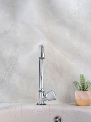 Кран на одну воду РМС SL119-270F