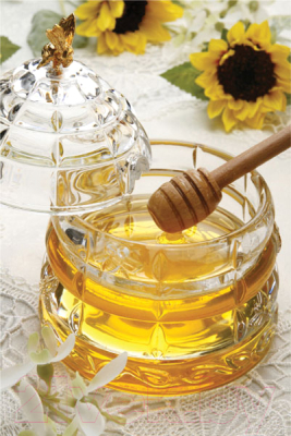 Емкость для хранения Lefard Muza / 355-003