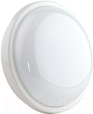 Светильник ЖКХ Glanzen RPD-0003-15 - фото