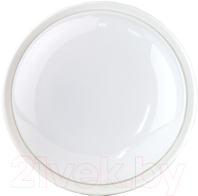 Светильник ЖКХ Glanzen RPD-0003-15