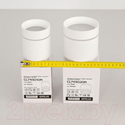 Точечный светильник Citilux Борн CL745020N