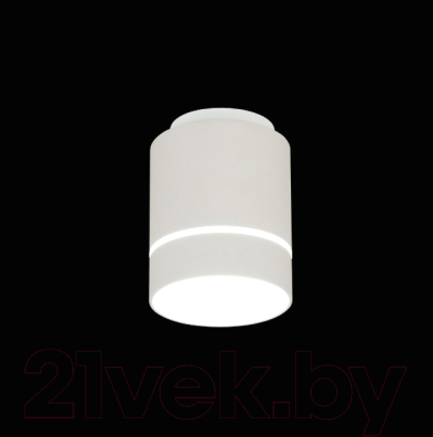 Точечный светильник Citilux Борн CL745020N