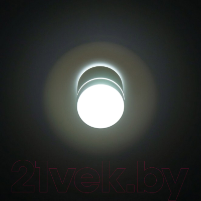 Точечный светильник Citilux Борн CL745020N