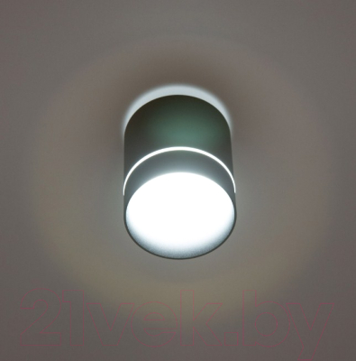 Точечный светильник Citilux Борн CL745021N