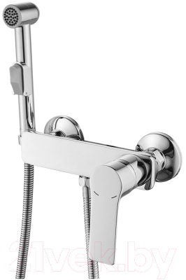 Гигиенический душ Rossinka Silvermix RS27-52 - фото