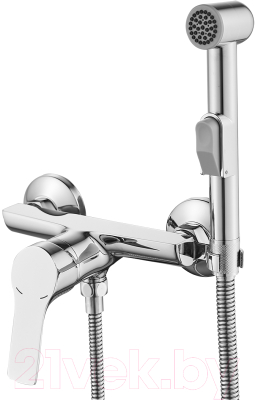 Гигиенический душ Rossinka Silvermix RS29-52 - фото