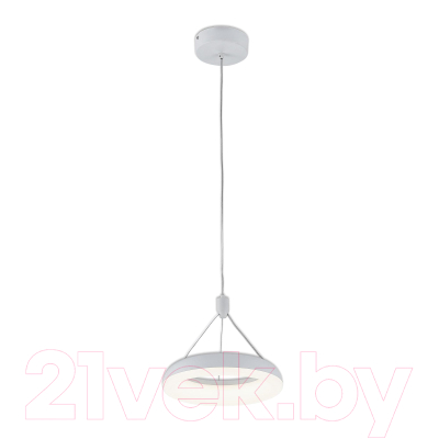 Потолочный светильник Citilux Паркер CL225B110 - фото