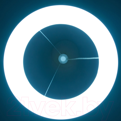 Потолочный светильник Citilux Паркер CL225B110