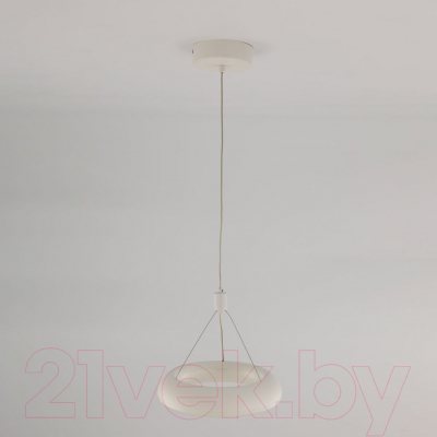 Потолочный светильник Citilux Паркер CL225B110