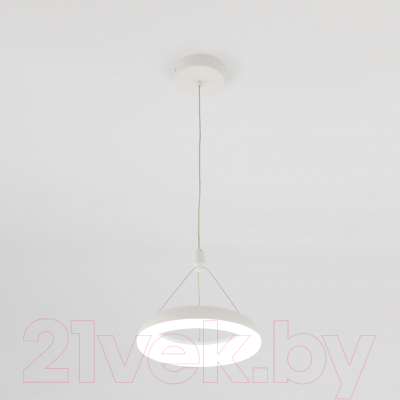 Потолочный светильник Citilux Паркер CL225B110