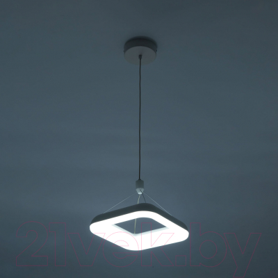 Потолочный светильник Citilux Паркер CL225B210