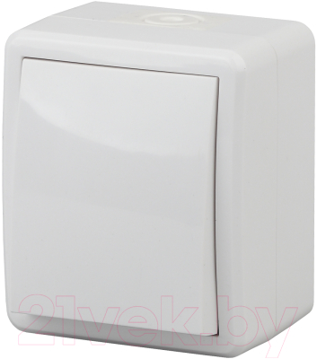 Выключатель ЭРА Эксперт 11-1401-01 / Б0020669 - фото