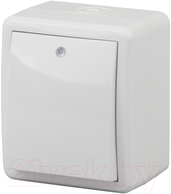 Выключатель ЭРА Эксперт 11-1402-01 / Б0020671 - фото