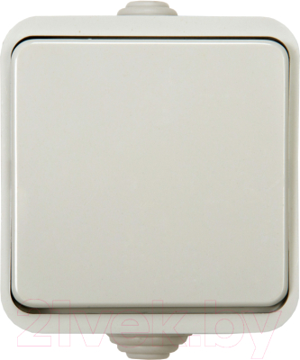 Выключатель INhome Aqua 3100 / 4690612000428 - фото