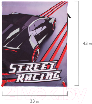 Мешок для обуви Brauberg Premium Street Racing / 270284