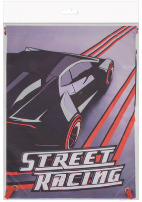 Мешок для обуви Brauberg Premium Street Racing / 270284