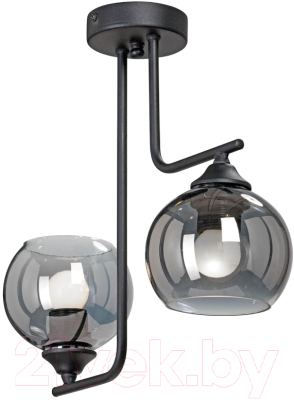 Потолочный светильник Vitaluce V4949-1/2PL - фото